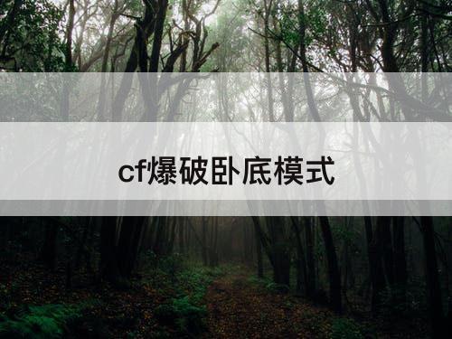 cf爆破卧底模式