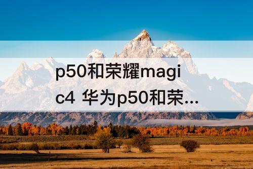 p50和荣耀magic4 华为p50和荣耀magic4pro选哪个