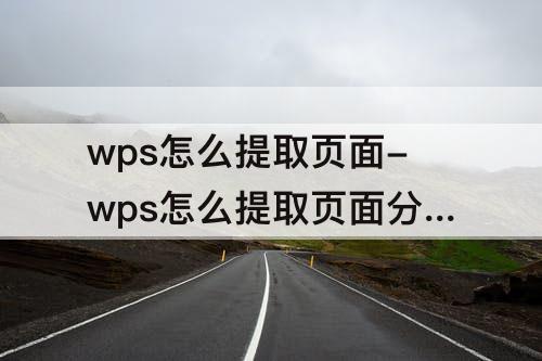 wps怎么提取页面-wps怎么提取页面分批校对