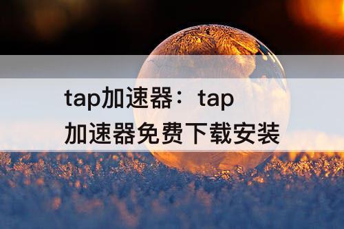 tap加速器：tap加速器免费下载安装