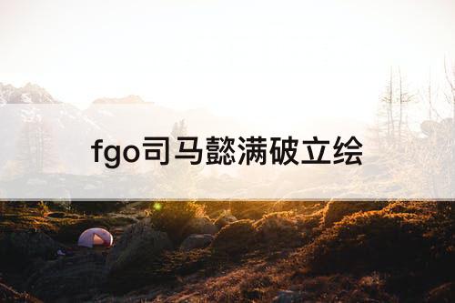 fgo司马懿满破立绘