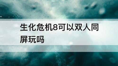 生化危机8可以双人同屏玩吗