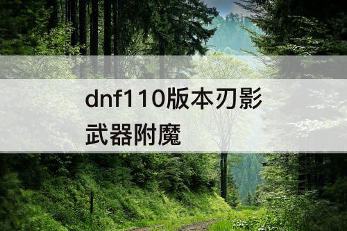 dnf110版本刃影武器附魔