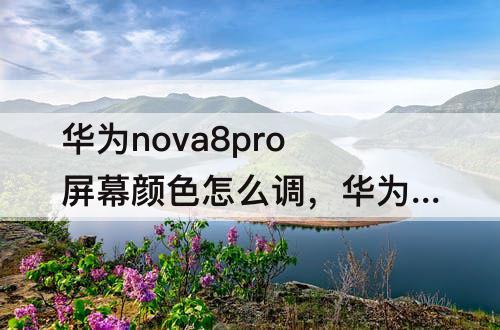 华为nova8pro屏幕颜色怎么调，华为nova8pro屏幕颜色怎么调成8号色