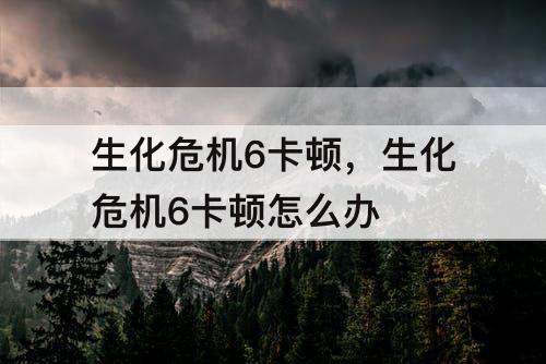 生化危机6卡顿，生化危机6卡顿怎么办