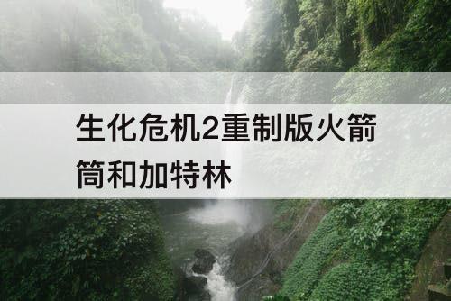 生化危机2重制版火箭筒和加特林