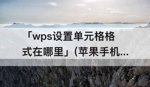 「wps设置单元格格式在哪里」(苹果手机wps设置单元格格式在哪里)