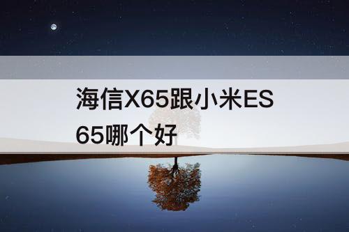 海信X65跟小米ES65哪个好