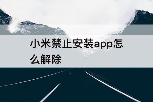 小米禁止安装app怎么解除