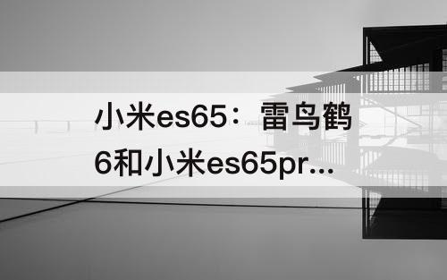 小米es65：雷鸟鹤6和小米es65pro