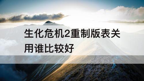 生化危机2重制版表关用谁比较好