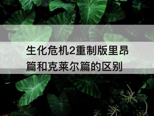 生化危机2重制版里昂篇和克莱尔篇的区别