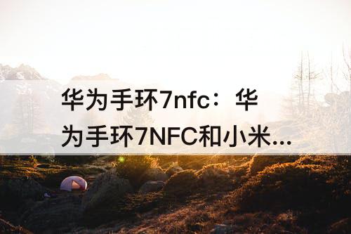 华为手环7nfc：华为手环7NFC和小米手环7NFC