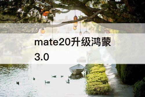 mate20升级鸿蒙3.0