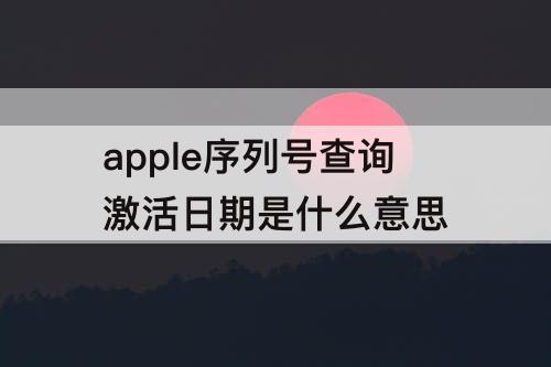 apple序列号查询激活日期是什么意思