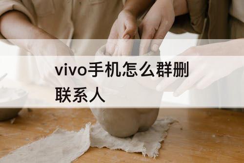 vivo手机怎么群删联系人