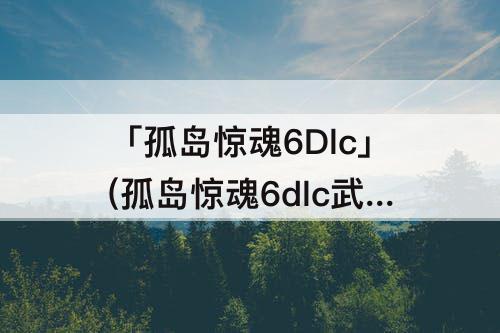 「孤岛惊魂6Dlc」(孤岛惊魂6dlc武器有哪些)