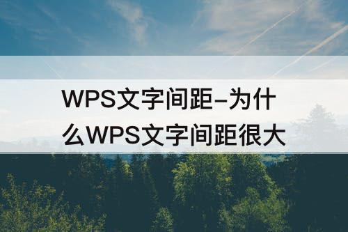 WPS文字间距-为什么WPS文字间距很大