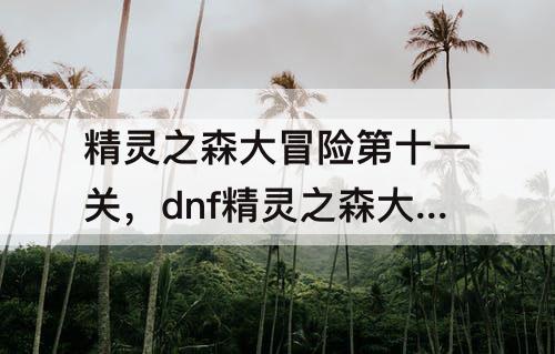 精灵之森大冒险第十一关，dnf精灵之森大冒险第十一关