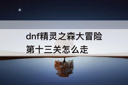 dnf精灵之森大冒险第十三关怎么走