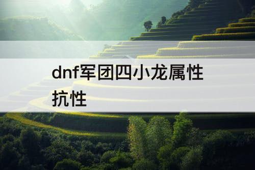 dnf军团四小龙属性抗性