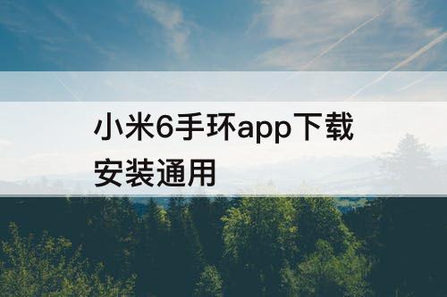 小米6手环app下载安装通用