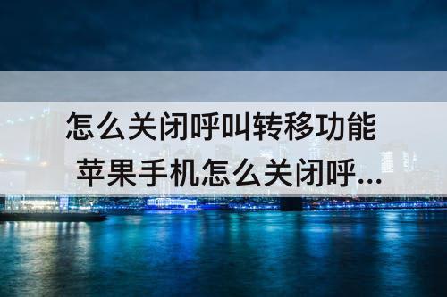 怎么关闭呼叫转移功能 苹果手机怎么关闭呼叫转移功能