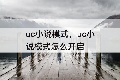 uc小说模式，uc小说模式怎么开启