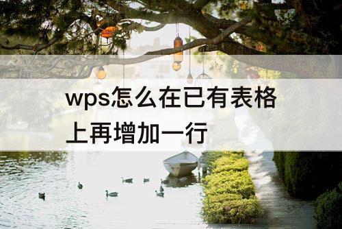 wps怎么在已有表格上再增加一行