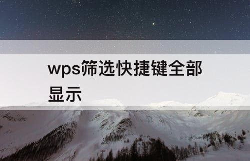 wps筛选快捷键全部显示