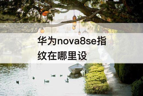 华为nova8se指纹在哪里设