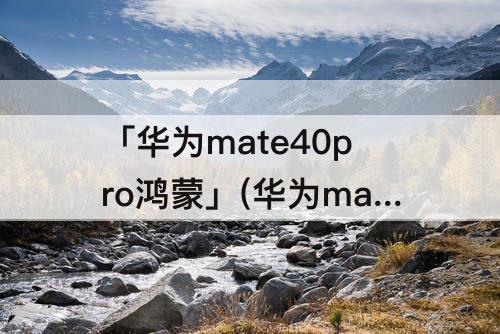 「华为mate40pro鸿蒙」(华为mate40pro鸿蒙系统怎么升级)