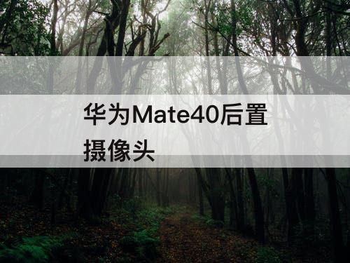 华为Mate40后置摄像头