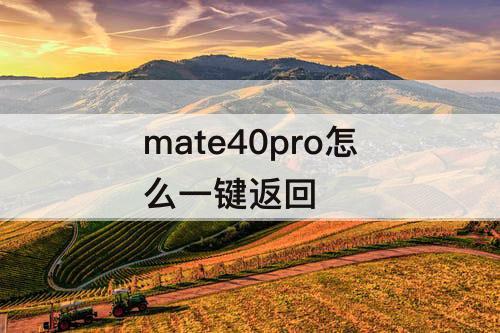 mate40pro怎么一键返回