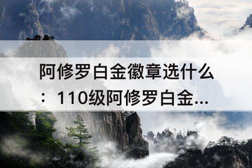 阿修罗白金徽章选什么：110级阿修罗白金徽章选什么