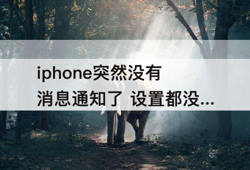 iphone突然没有消息通知了 设置都没问题