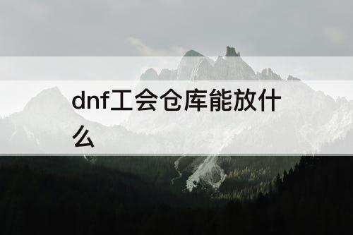 dnf工会仓库能放什么