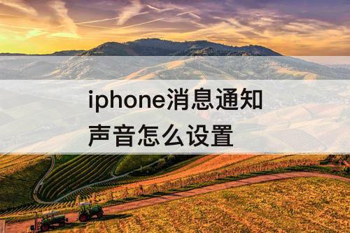 iphone消息通知声音怎么设置