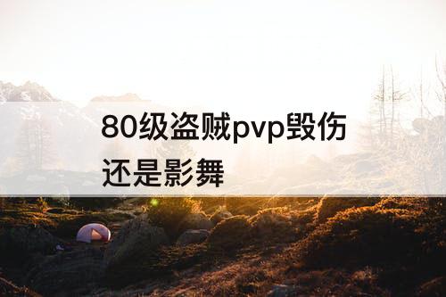 80级盗贼pvp毁伤还是影舞