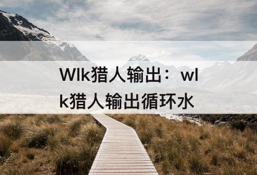 Wlk猎人输出：wlk猎人输出循环水