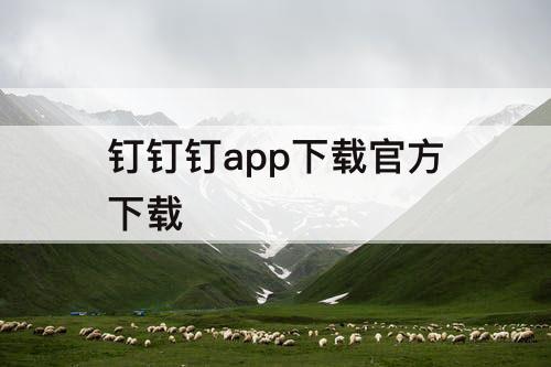 钉钉钉app下载官方下载