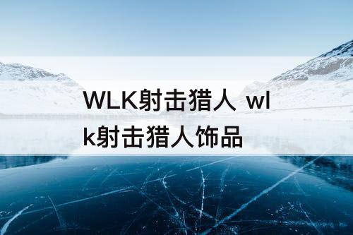 WLK射击猎人 wlk射击猎人饰品