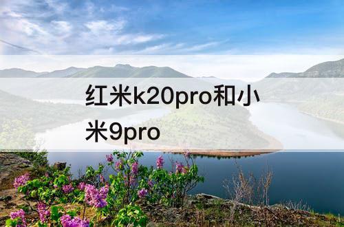 红米k20pro和小米9pro