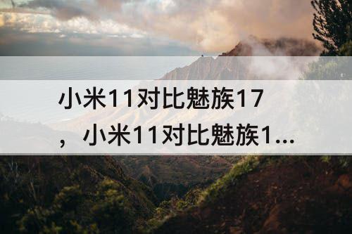 小米11对比魅族17，小米11对比魅族17pro