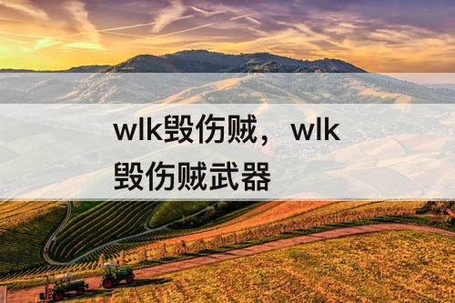 wlk毁伤贼，wlk毁伤贼武器