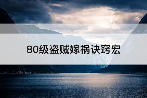 80级盗贼嫁祸诀窍宏