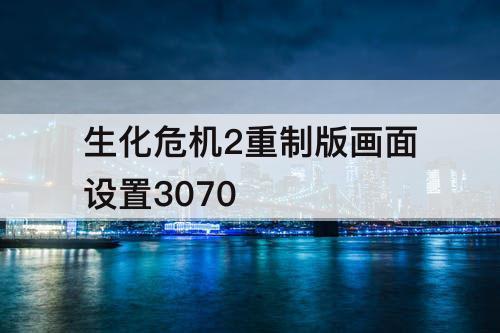 生化危机2重制版画面设置3070