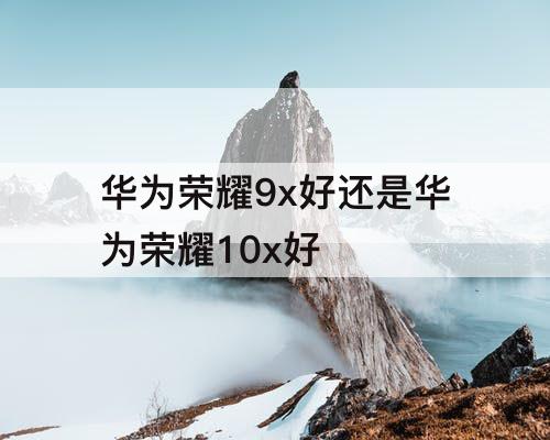 华为荣耀9x好还是华为荣耀10x好