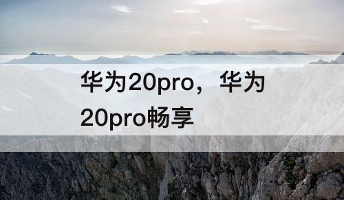 华为20pro，华为20pro畅享