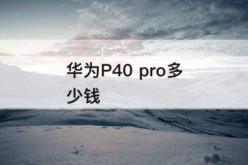 华为P40 pro多少钱